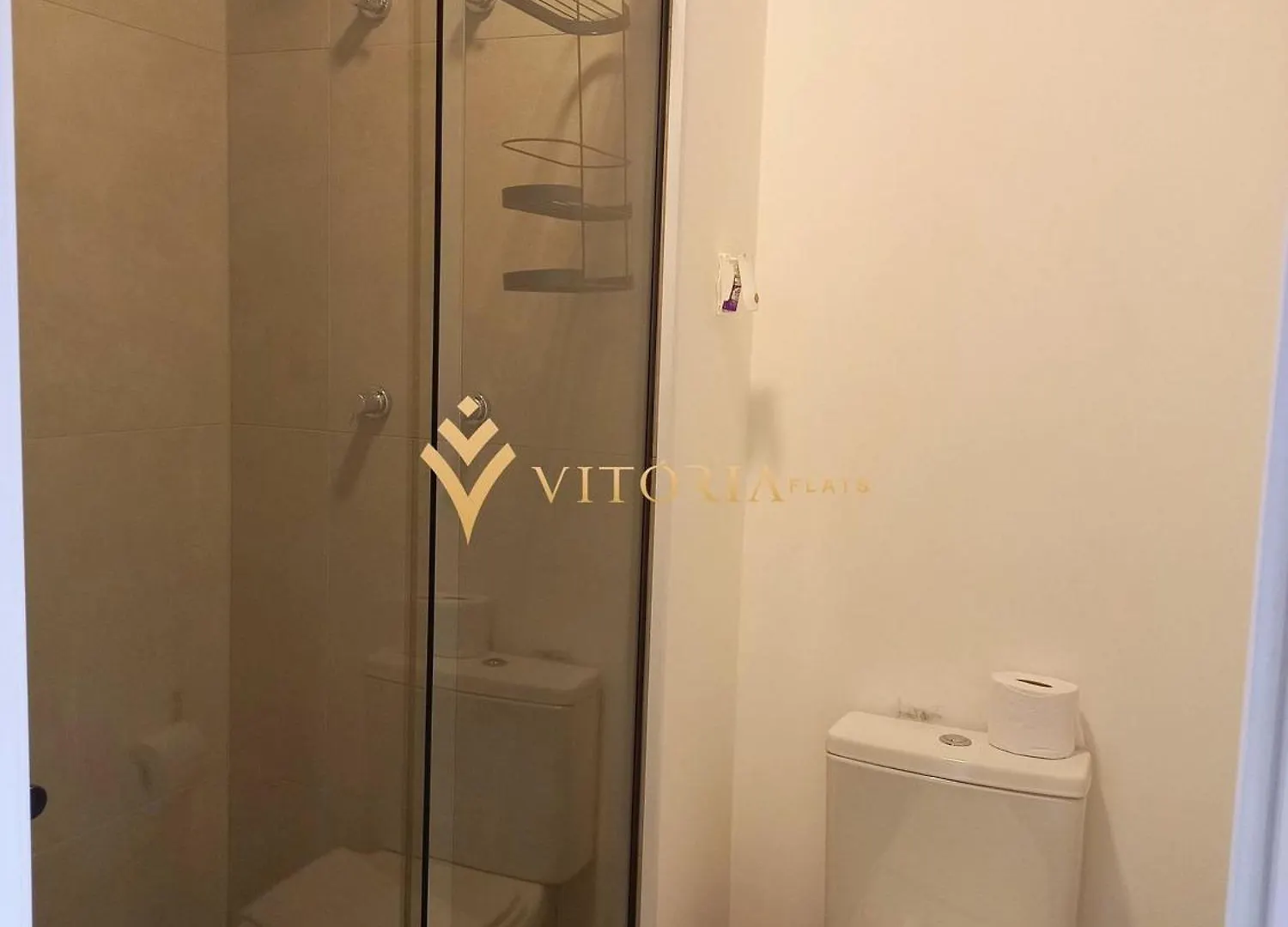 Lejlighed Elegance Suites Vergueiro São Paulo Brasilien