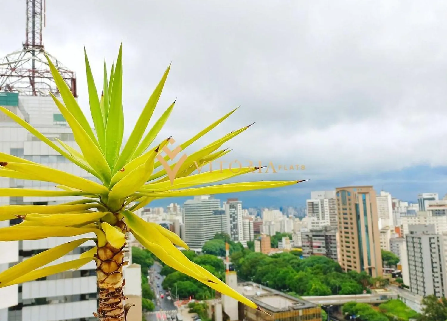 Elegance Suites Vergueiro São Paulo 0*,  Brasilien